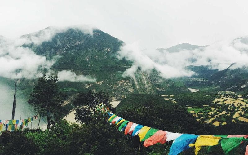 Article featured image